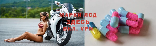 индика Беломорск