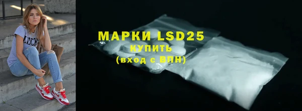 индика Беломорск