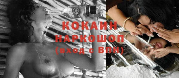 индика Беломорск
