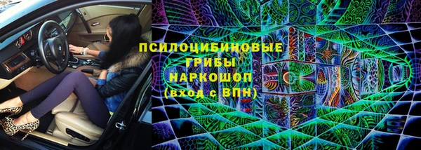 индика Беломорск